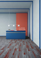IVC Shared Path на акустической основе Echo Acoustic 924 фото 4 | FLOORDEALER